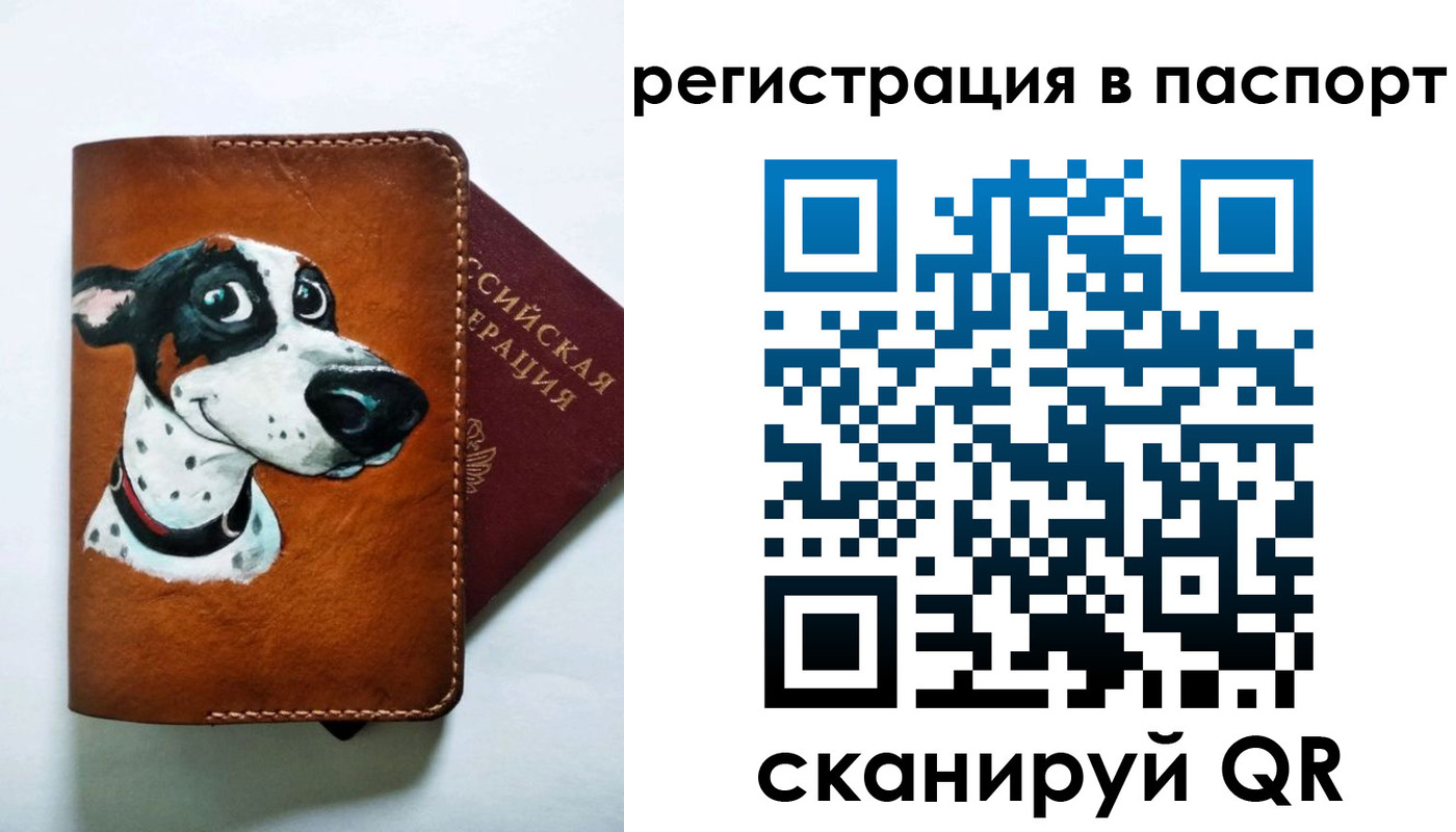 прописка штамп в Новотроицке